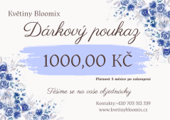 Dárkový poukaz v hodnotě 1000 Kč