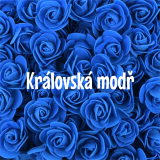 Královská modrá