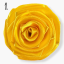 Saténová stuha dark yellow (tm. žlutá) - 38mm/ 32m