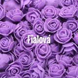 Fialová