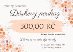 Dárkový poukaz v hodnotě 500 Kč